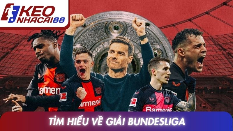 Tìm hiểu về giải Bundesliga