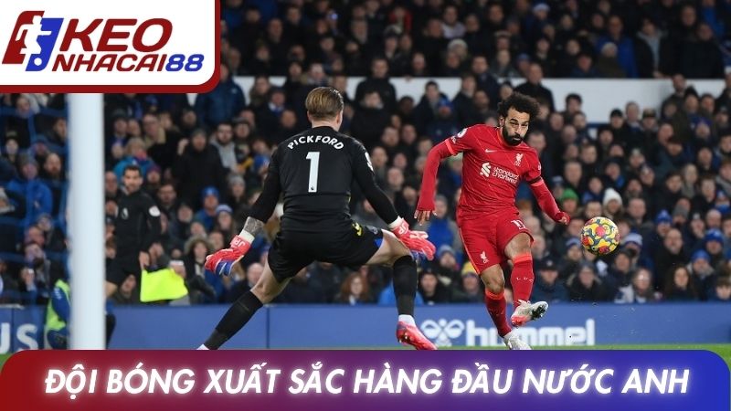 Đội bóng xuất sắc đấu trường hàng đầu nước Anh