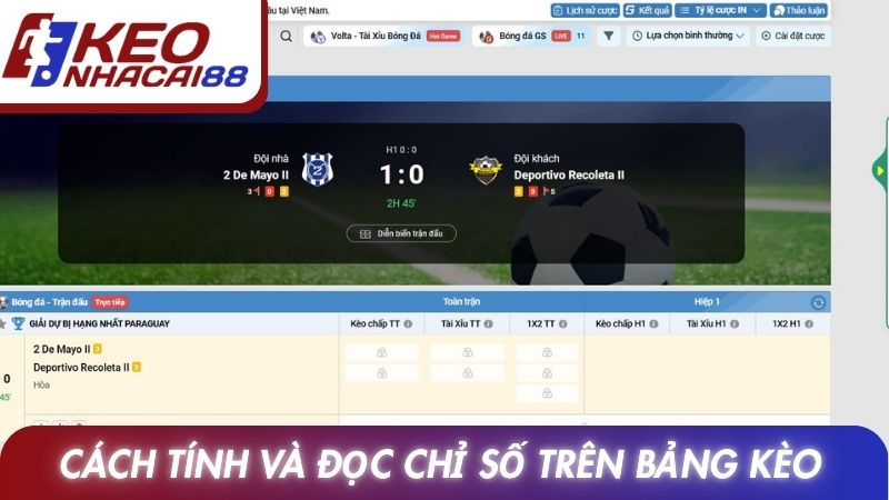 Cách tính và đọc chỉ số trên bảng kèo dễ hiểu