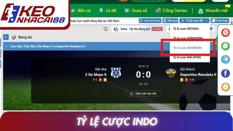 Tỷ Lệ Cược Indo