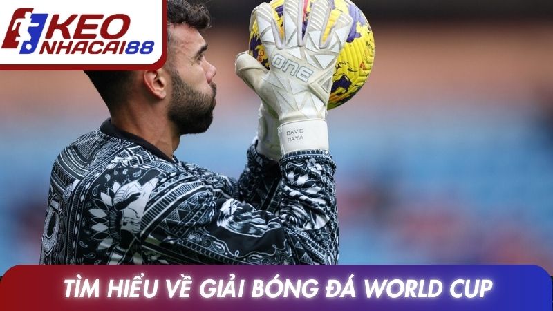 Tìm hiểu về giải bóng đá World Cup